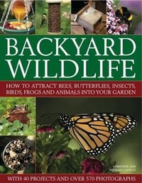 Produktbild: Lavelle, M: Backyard Wildlife