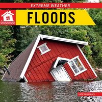 Produktbild: Floods