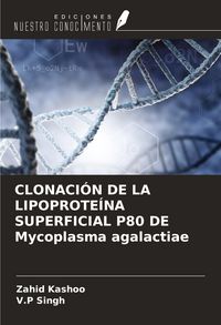 Produktbild: Clonaci&oacute;n De La Lipoprote&iacute;na Superficial P80 De Mycoplasma Agalactiae