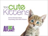 Produktbild: Too Cute Kittens