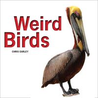 Produktbild: Weird Birds