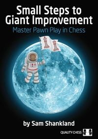 Produktbild: Small Steps to Giant Improvement