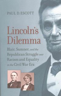 Produktbild: Escott, P: Lincoln's Dilemma