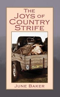 Produktbild: The Joys of Country Strife
