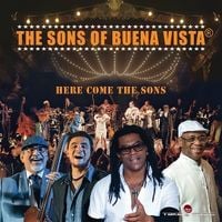 Produktbild: Here Come The Sons (LP)