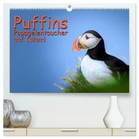 Produktbild: Puffins - Papageientaucher auf Island (hochwertiger Premium Wandkalender 2026 DIN A2 quer), Kunstdruck in Hochglanz