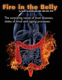 Produktbild: Fire In The Belly: The Surprising Cause of Most Diseases, States Of Mind and Aging Processes