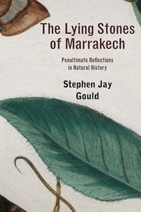 Produktbild: Lying Stones Of Marrakech