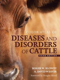 Produktbild: Color Atlas of Diseases and Disorders of Cattle E-Book
