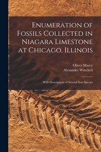 Produktbild: Enumeration of Fossils Collected in Niagara Limestone at Chicago, Illinois; With Descriptions of Several new Species