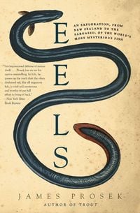 Produktbild: Eels