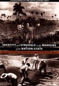 Produktbild: Identity and Struggle at the Margins of the Nation-State
