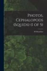 Produktbild: Photos, Cephalopods (Squids) (1 of 5)