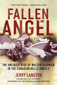 Produktbild: Fallen Angel