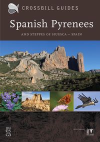 Produktbild: Spanish Pyrenees