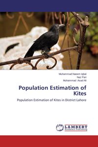 Produktbild: Population Estimation of Kites