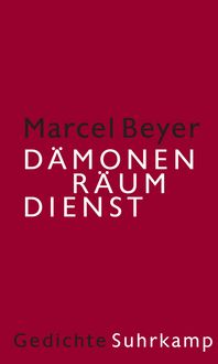 Produktbild: D&auml;monenr&auml;umdienst