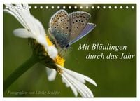 Produktbild: Mit Bl&auml;ulingen durch das Jahr (Tischkalender 2027 DIN A5 quer), CALVENDO Monatskalender