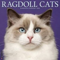 Produktbild: Ragdoll Cats 2026 Wall Calendar