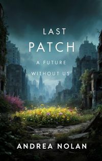 Produktbild: The Last Patch