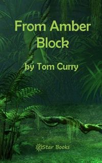 Produktbild: From Amber Block