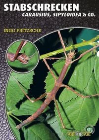Produktbild: Stabschrecken