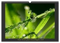 Produktbild: Meine kleine gr&uuml;ne Wassertropfen Welt (Wandkalender 2027 DIN A3 quer), CALVENDO Monatskalender
