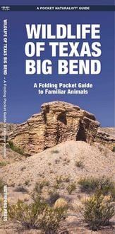 Produktbild: Texas Big Bend, Wildlife of