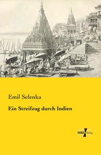 Produktbild: Ein Streifzug durch Indien