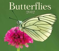 Produktbild: Butterflies 2012 Calendar