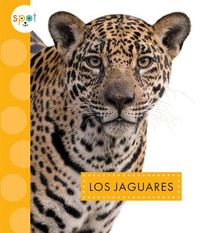 Produktbild: Los Jaguares