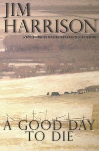 Produktbild: A Good Day to Die