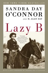 Produktbild: Lazy B