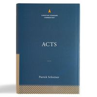 Produktbild: Acts: The Christian Standard Commentary