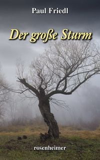 Produktbild: Der gro&szlig;e Sturm