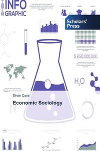 Produktbild: Economic Sociology