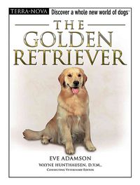 Produktbild: Golden Retriever