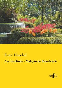 Produktbild: Aus Insulinde - Malayische Reisebriefe