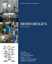 Produktbild: Biomass, Biofuels, Biochemicals