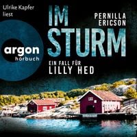 Produktbild: Im Sturm
