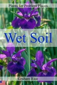 Produktbild: Plants for Problem Places: Wet Soil [North American Edition]