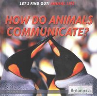 Produktbild: How Do Animals Communicate?