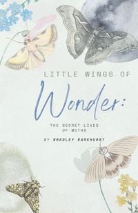 Produktbild: Little Wings of Wonder