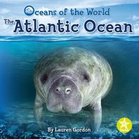 Produktbild: Atlantic Ocean