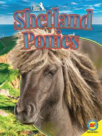 Produktbild: Shetland Ponies
