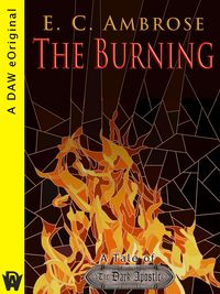 Produktbild: The Burning