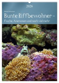 Produktbild: Bunte Riffbewohner - Fische, Anemonen und noch viel mehr (Wandkalender 2026 DIN A2 hoch), CALVENDO Monatskalender