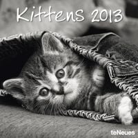 Produktbild: Kittens 2013