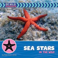 Produktbild: Sea Stars in the Wild