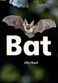 Produktbild: Bat (Set 02)